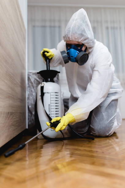 Best Fumigation Services  in Cave City, AR